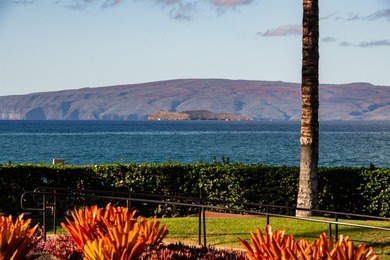 THE BEACHFRONT VILLA - A once in a generation oceanfront - photo 29