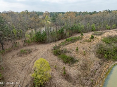 Check out this BEAUTIFUL 19 +/- acre property! It is located in - photo 3
