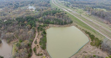 Check out this BEAUTIFUL 19 +/- acre property! It is located in - photo 5
