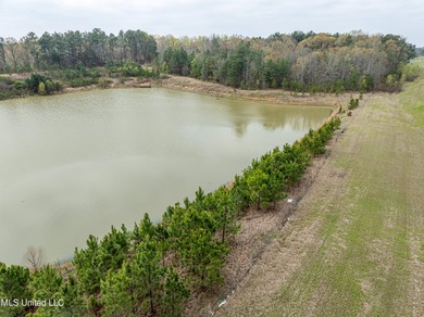 Check out this BEAUTIFUL 19 +/- acre property! It is located in - photo 9