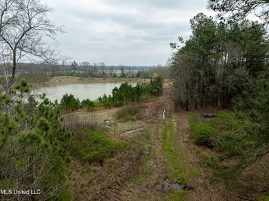 Check out this BEAUTIFUL 19 +/- acre property! It is located in - photo 10