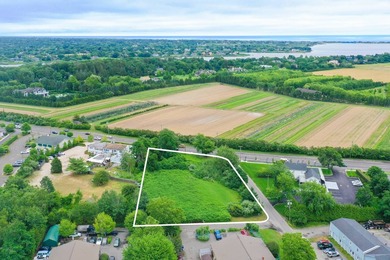 This shy acre lot has excellent highway exposure and approved - photo 1