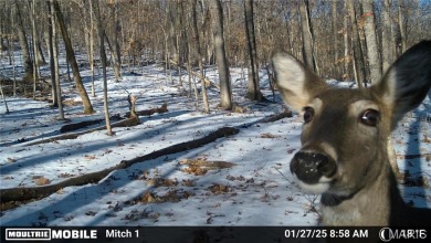 Lake Acreage For Sale in House Springs, Missouri