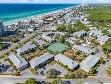 Welcome to this charming condo in the heart of Seagrove Beach - photo 49