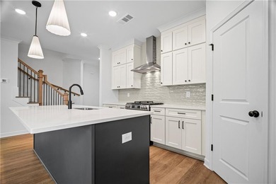 Final Opportunities at our luxury Townhome Neighborhood The - photo 5