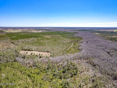 Dead Lake Acreage For Sale in Wewahitchka Florida