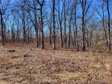 Lake of the Ozarks Acreage For Sale in Edwards Missouri