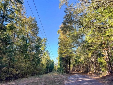 Absolutely gorgeous and brimming with natural beauty, this 9.19 - photo 13
