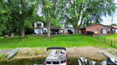 Lake Home For Sale in Otter Lake, Michigan
