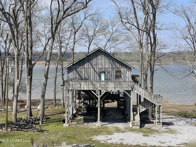 (private lake, pond, creek) Home For Sale in Beulah Mississippi