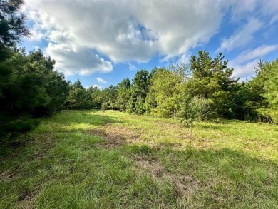 Lake Acreage For Sale in Greenville, Alabama