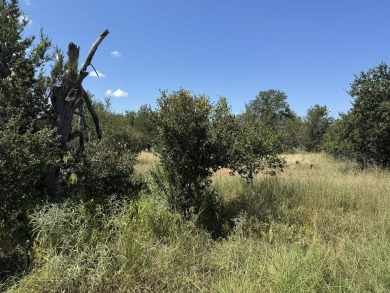 Lake Lot For Sale in Burnet, Texas
