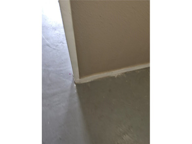 Price REDUCED- 4 bedroom 1 bathe with office or media room. Lots - photo 4
