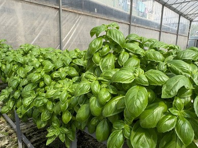 Step into the future of agriculture with this fully operational - photo 3