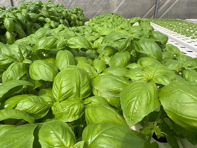 Step into the future of agriculture with this fully operational - photo 4