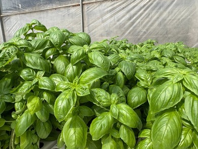 Step into the future of agriculture with this fully operational - photo 5