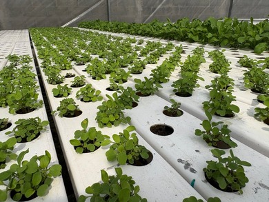 Step into the future of agriculture with this fully operational - photo 7