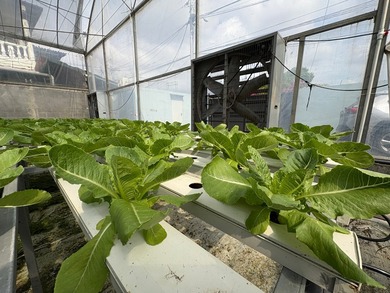 Step into the future of agriculture with this fully operational - photo 8