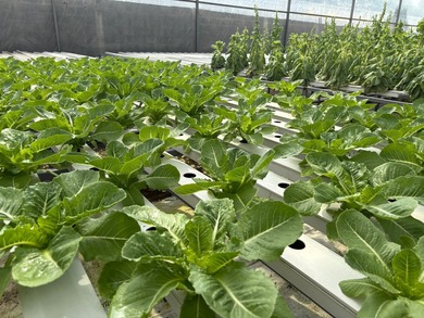 Step into the future of agriculture with this fully operational - photo 9