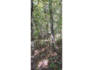 Lake Lot For Sale in Theodosia, Missouri