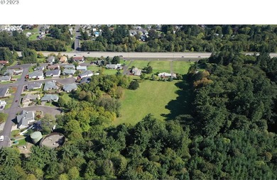22 beautiful large river and mountain view lots in Columbia City - photo 5