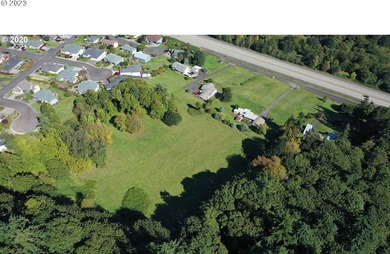 22 beautiful large river and mountain view lots in Columbia City - photo 6