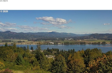 22 beautiful large river and mountain view lots in Columbia City - photo 9