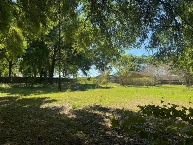 Lake Lot For Sale in Summerfield, Florida
