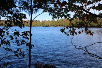 Adirondack Lake Lot For Sale in Indian Lake New York