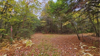 This is your chance to own 2.6 acre lot near Sebasticook Lake - photo 1