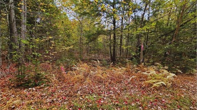 This is your chance to own 2.6 acre lot near Sebasticook Lake - photo 3