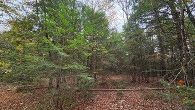 This is your chance to own 2.6 acre lot near Sebasticook Lake - photo 5