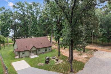 CUSTOM LAKEVIEW HOME -- HOUSTON COUNTY LAKE! - photo 26