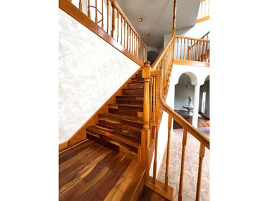 Stately custom brick estate showcasing timeless Classical - photo 18