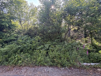 Your Quiet Forested Escape on the Long Beach Peninsula. These - photo 1