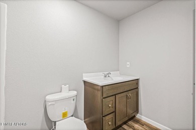 This newly remodeled home is situated in a quiet country setting - photo 28