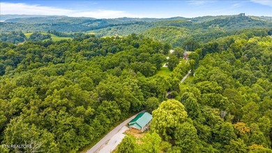 This newly remodeled home is situated in a quiet country setting - photo 37