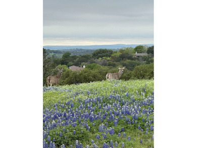 UNMATCHED 360 degrees VIEWS | NIEMAN-FOSTER CUSTOM HOME | - photo 40