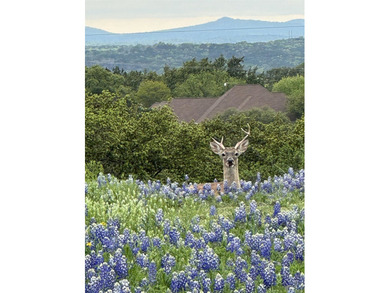 UNMATCHED 360 degrees VIEWS | NIEMAN-FOSTER CUSTOM HOME | - photo 41