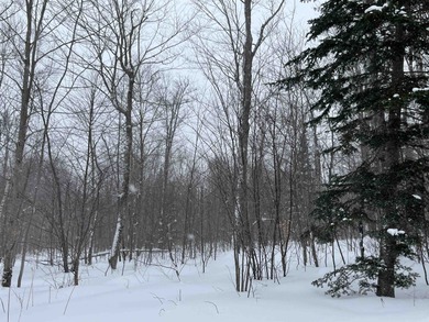 (private lake, pond, creek) Acreage For Sale in Sheffield Vermont