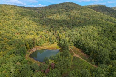 Lake Acreage For Sale in Hancock, New York