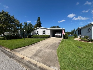 (private lake, pond, creek) Home For Sale in Ormond Beach Florida