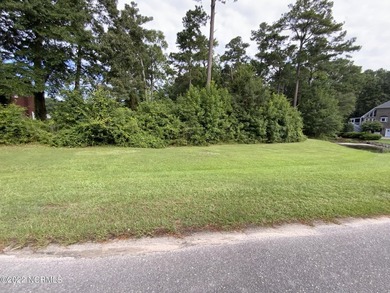 Come build your dream home on this fabulous lot located in The - photo 3