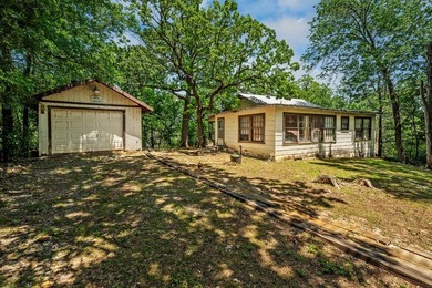 RARE LAKE TEXXOMA LAKEFRONT PROPERTY LOCATED IN MILL CREEK - photo 4