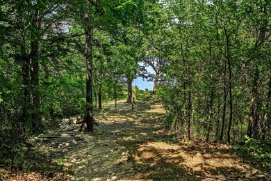 RARE LAKE TEXXOMA LAKEFRONT PROPERTY LOCATED IN MILL CREEK - photo 7