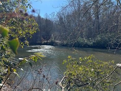 Spectacular 85+/- acre riverfront tract on the Chattahoochee - photo 11