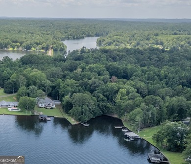 WHAT A LAKE LOT!!! You don't get this much anymore! This is an - photo 11