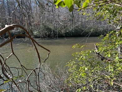 Spectacular 85+/- acre riverfront tract on the Chattahoochee - photo 12