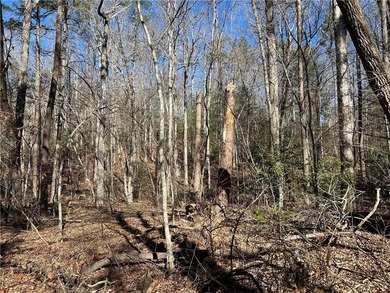 Spectacular 85+/- acre riverfront tract on the Chattahoochee - photo 13