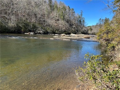 Spectacular 85+/- acre riverfront tract on the Chattahoochee - photo 14